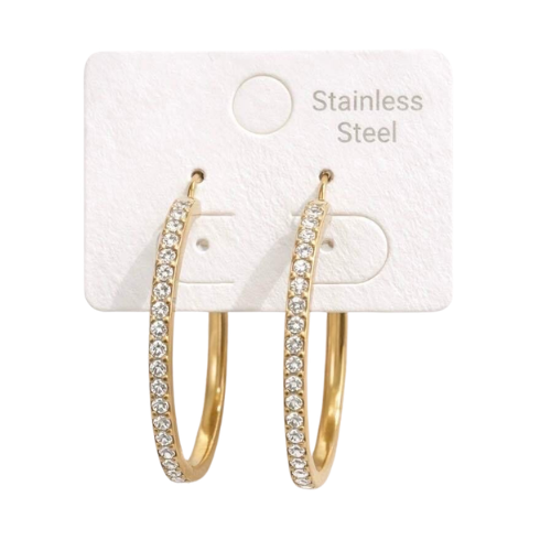 Stainless steel hoops met zirkonia steentjes